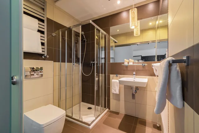 غرفة بزنس بسريرين منفصلين، Park Hotel Diament Zabrze 7/7