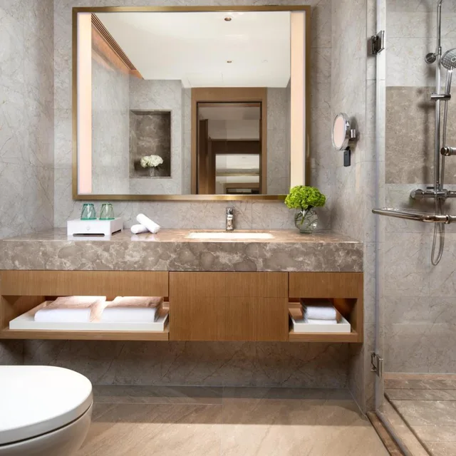 Upgrade, Standard, Single Bed، Holiday Inn Shunde 8/8