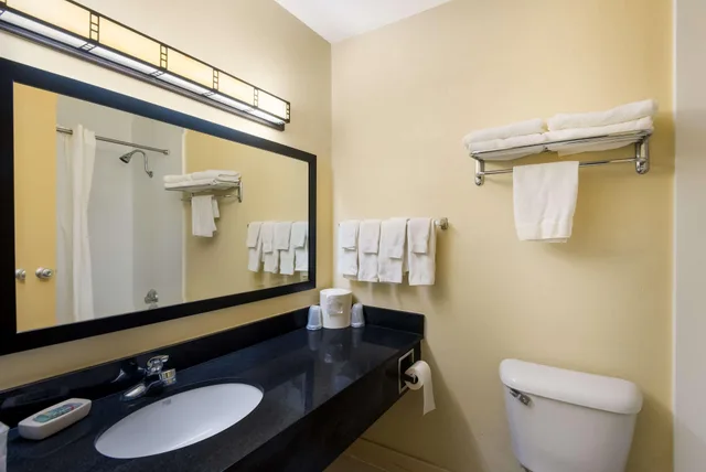 Room, King Bed, Accessible, Best Western Prairie Inn & Conference Center 4/4