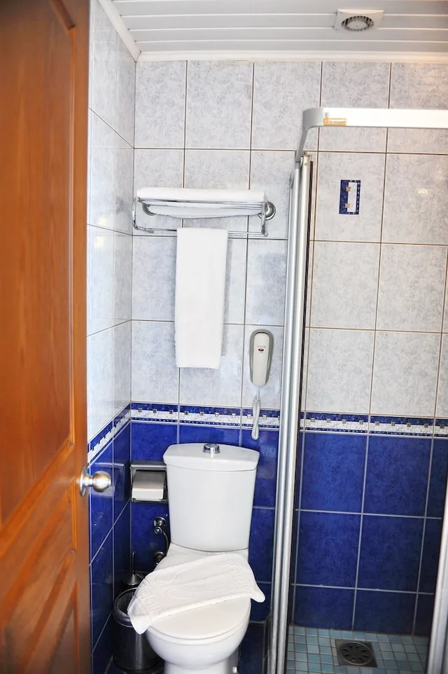 Economy, Double Bed, Hotel Royal Hill 6/7