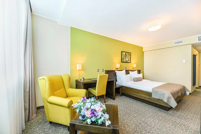 غرفة بزنس بسرير مزدوج بإطلالة على النهر، Vega Hotel 8/10