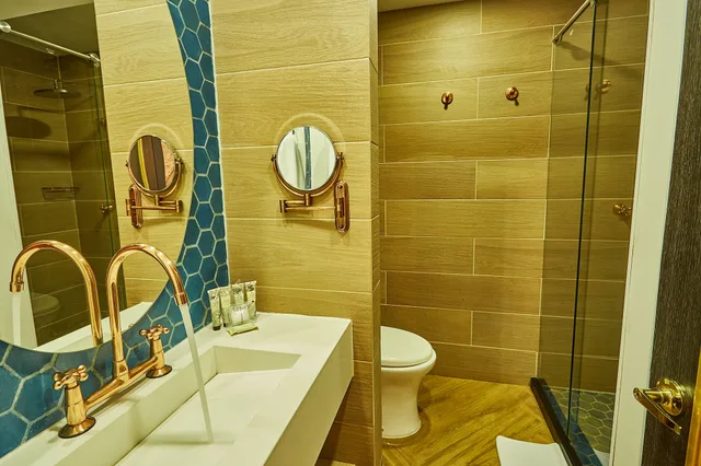 جناح استوديو بسرير كينج، Hotel Faranda Collection Cali 5/10
