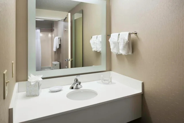 جناح بسريرين مزدوجين بحوض استحمام لذوي الإعاقة، SpringHill Suites Milford 4/7
