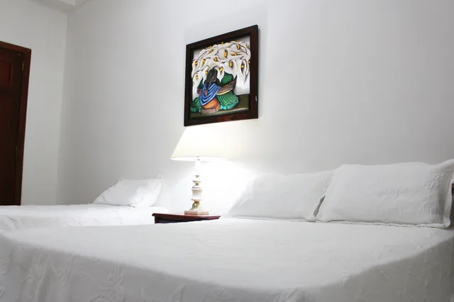 غرفة قياسية مفردة بسرير مزدوج، Hotel Dorado Plaza Centro Historico 10/11