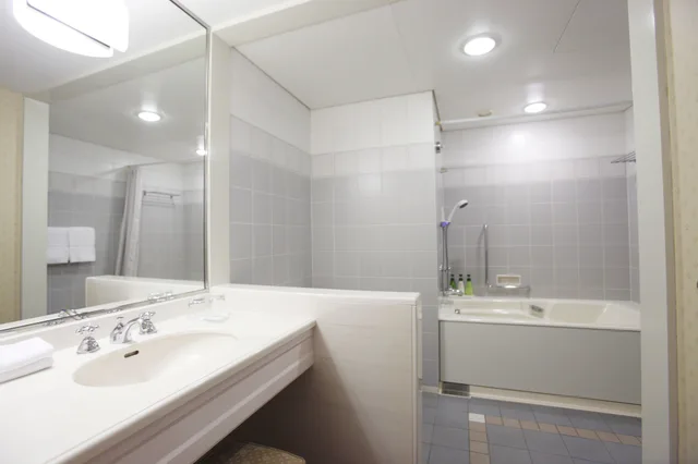 Deluxe, King Bed, Harbour View, Hotel Den Haag 2/2