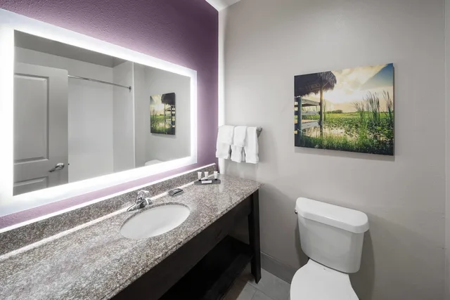 جناح بسرير كينج بغرفة نوم واحدة، La Quinta Inn Suites Boutte 2/3