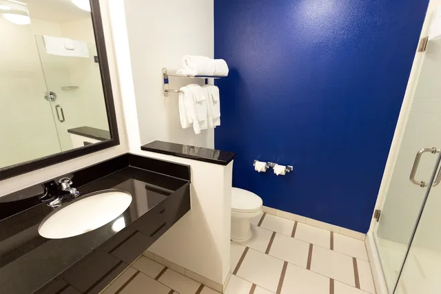 Room, King Bed, Fairfield Inn & Suites by Marriott Athens I-65 3/4