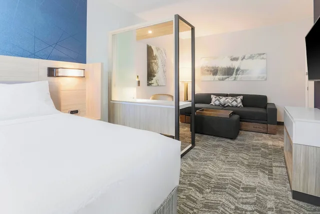 جناح استوديو بسرير كينج، SpringHill Suites by Marriott Truckee Lake Tahoe 1/10