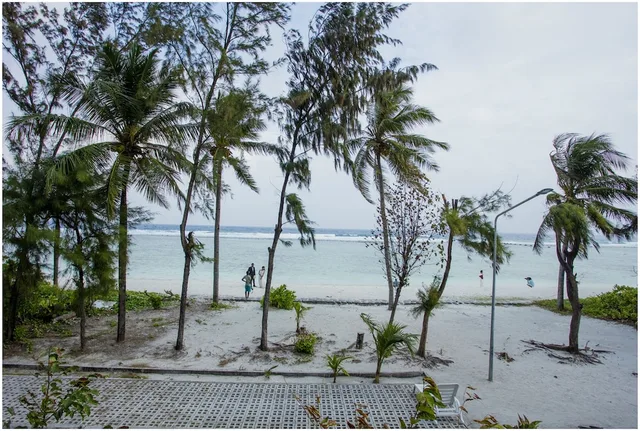 Ripple Beach Inn، Male 47/50