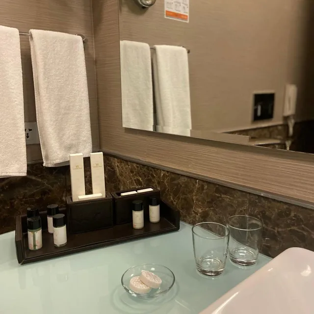 غرفة بسرير مزدوج لذوي الإعاقة، Borjomi Likani Hotel, Borjomi 5/9