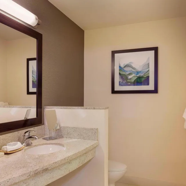 غرفة كبيرة بسرير كينج بإطلالة على النهر مع أريكة في طابق مرتفع، Courtyard Marriott City Center 2/2