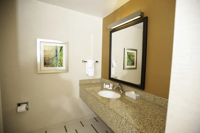 غرفة قياسية بسرير كينج، Fairfield Inn Suites Nashville Smyrna 6/6
