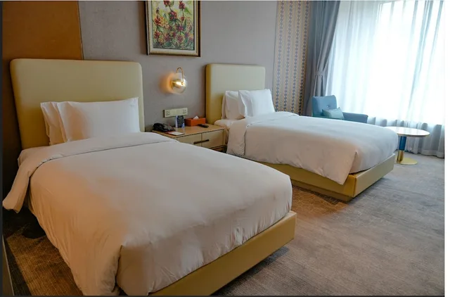 غرفة بريميوم تنفيذية بسريرين منفصلين، Ethiopian Skylight Hotel 1/1