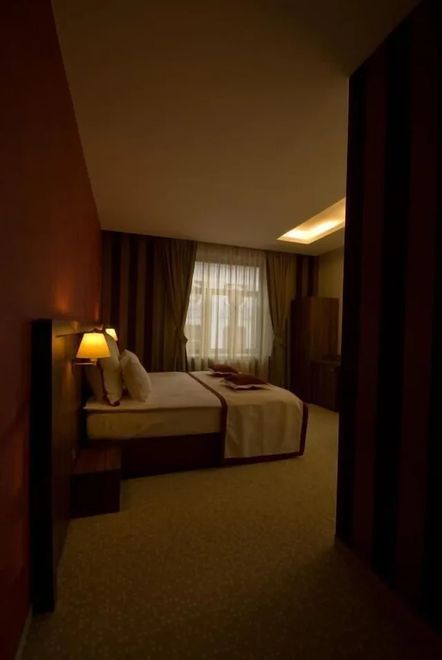 غرفة بزنس مفردة، Hotel Gott 5/16