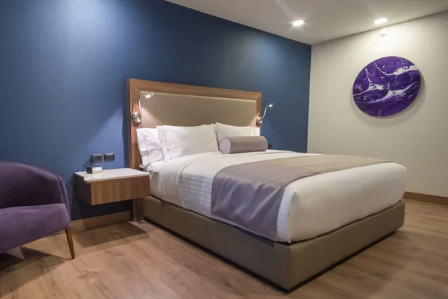 غرفة تقليدية بسرير كينج بإطلالة على المدينة، Sheraton Guadalajara Expo 3/7