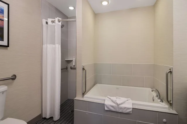 جناح بسرير كينج مع أريكة لذوي الإعاقة، Hilton Garden Inn Madison West Middleton 3/5