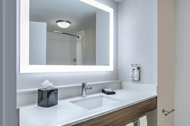 Xtra Space, Standard, King Bed، Holiday Inn Express Suites Clute Lake Jackson 2/3