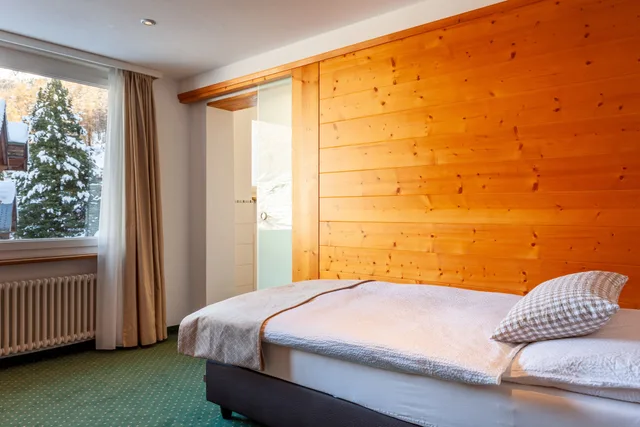 Alpine, Single، Hotel Jaegerhof 8/12