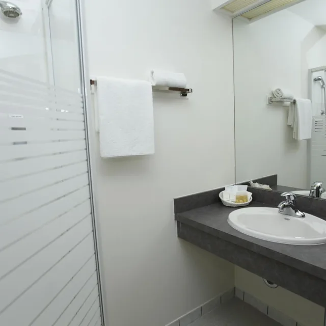 غرفة قياسية بسرير مزدوج، Airport Hotel Mara 5/6