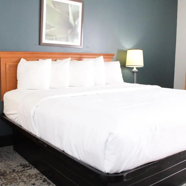 غرفة ديلوكس بسرير كينج، La Quinta Inn & Suites by Wyndham Lakeland East 2/3