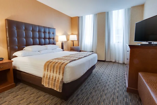 غرفة داخلية بسرير كينج لذوي الإعاقة، Drury Plaza Hotel St Louis At The Arch 2/3