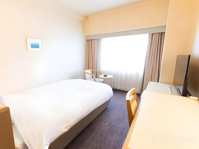 غرفة قياسية بسرير نصف مزدوج بحوض استحمام للمدخنين، Toyama Chitetsu Hotel 1/1