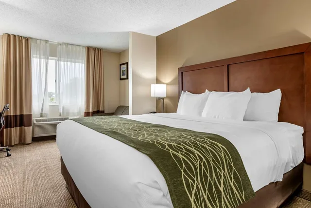 جناح بسرير كينج، Comfort Inn Suites Dimondale Lansing 2/2
