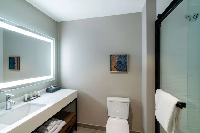 Room, King Bed, La Quinta Inn Suites By Wyndham Nashville Downtown Stadium 3/3