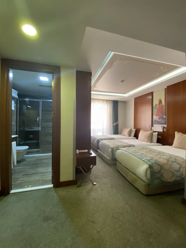 غرفة قياسية ثلاثية بسرير كينج وسرير فردي، Hurry Inn Merter Istanbul 3/4