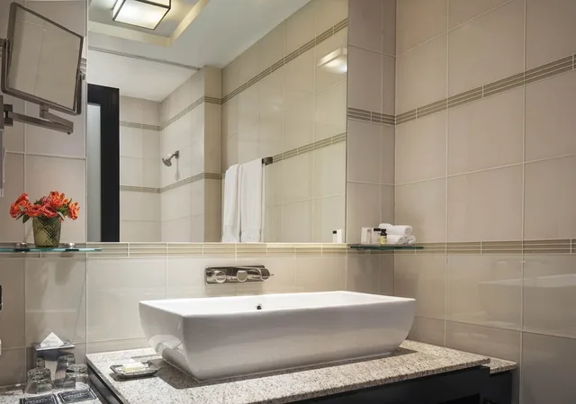 غرفة سوبيريور بسريرين كوين، Royalton Park Avenue 4/4