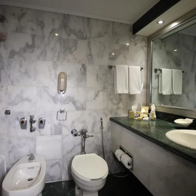Oasis Deluxe Twin Room with Pool View، Danat Al Ain Resort 3/5