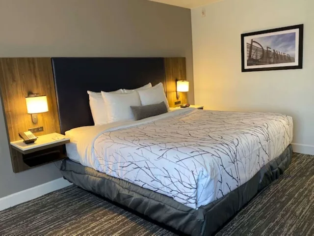 جناح بسرير كينج بإطلالة على المسبح بشرفة مع أريكة، Best Western Denver East 1/10