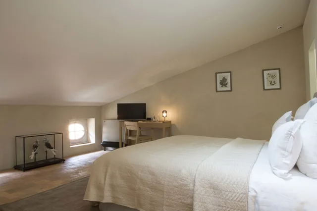 غرفة سوبيريور بسرير كوين، HOTEL DE LA VILLEON 1/10