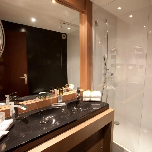 جناح بسرير كينج، Palladia Hotel 6/6