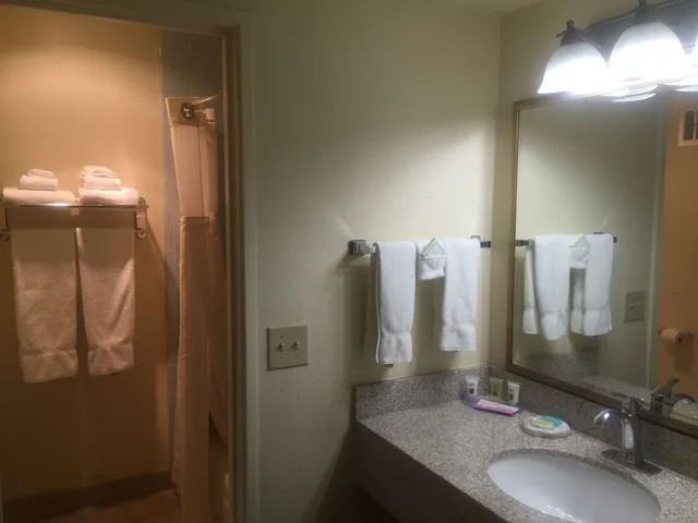 غرفة قياسية كبيرة بسرير كينج بإطلالة على المسبح بشرفة، Best Western Plus Royal Oak Hotel 6/6