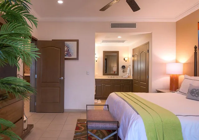 1 Bedroom, Suite, Premium Floor، Villa Del Palmar At the Islands of Loreto 4/4