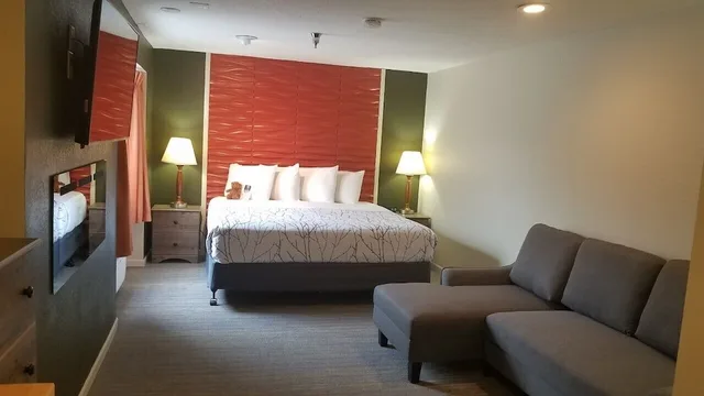 Classic, Single, King Bed, Roosevelt Inn Mount Rushmore 1/1