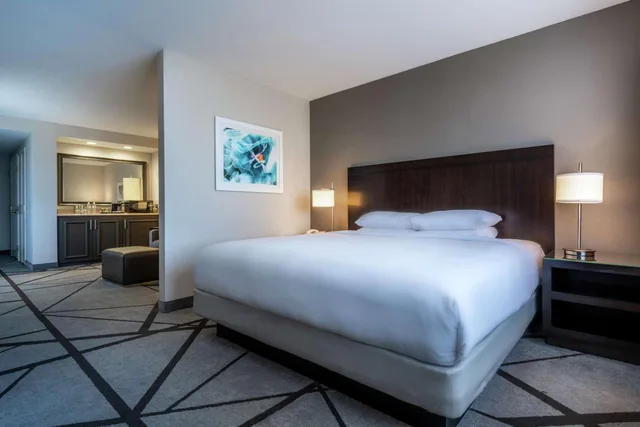 جناح جونيور بسرير كينج مع أريكة، DoubleTree by Hilton Hotel Los Angeles Norwalk 3/6