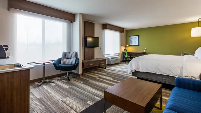 Mini, Suite, King Bed، Holiday Inn Express Hotel And Suites Detroit Farmington Hills 1/2