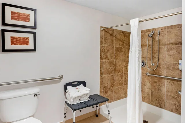 جناح بسرير كينج لذوي الإعاقة، Comfort Inn & Suites Sayre, PA 6/6