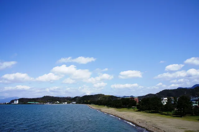Japanese, Type C، Kamenoi Hotel Hikone (Ex Kanponoyado) 5/5