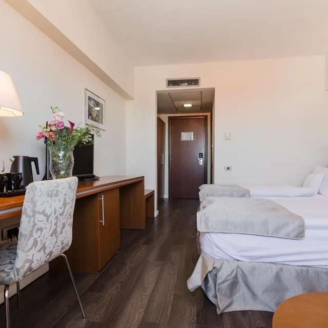 غرفة بزنس بسرير مزدوج أو سريرين منفصلين، Hotel Timisoara 6/10