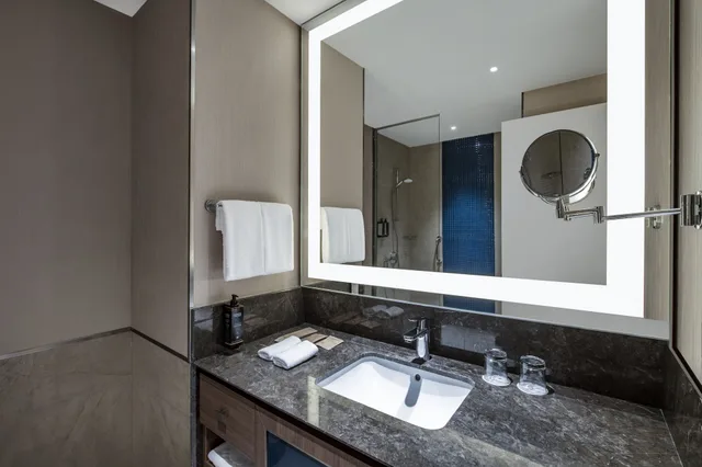 غرفة قياسية بسريرين منفصلين، Tbilisi Philharmonic by Mercure Hotel 7/9