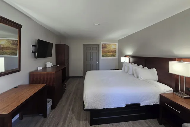 غرفة بسرير كينج لذوي الإعاقة لغير المدخنين، OYO Hampton South Carolina Hwy 278 4/10