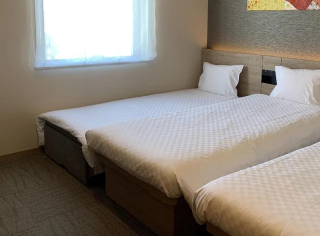 غرفة ديلوكس بسريرين منفصلين مع أريكة في طابق مرتفع، Henn na Hotel Tokyo Nishikasai 2/4