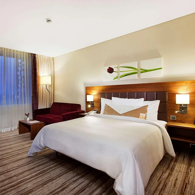 غرفة قياسية بسرير مزدوج، Hilton Garden Inn Konya Turkey 1/1