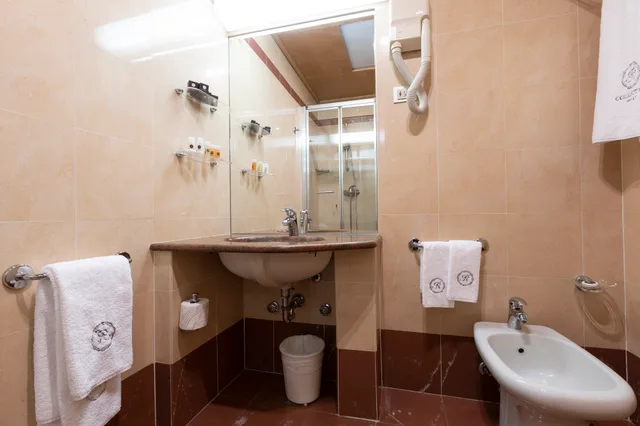 غرفة تنفيذية بسرير مزدوج، City Life Hotel Poliziano 10/10