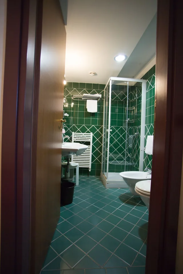 غرفة قياسية مفردة، PALACE HOTEL SAN MICHELE 3/3