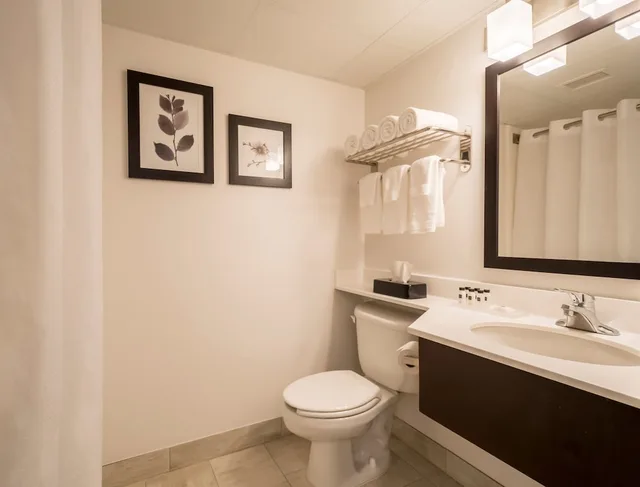 جناح استوديو بسرير كينج، Country Inn & Suites by Radisson, Rochester-Pittsford/Brighton, NY 2/2