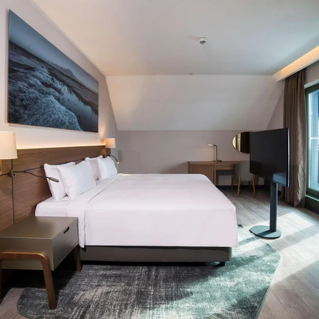 جناح جونيور بشرفة، Radisson Blu Hotel Mount Erciyes 1/10